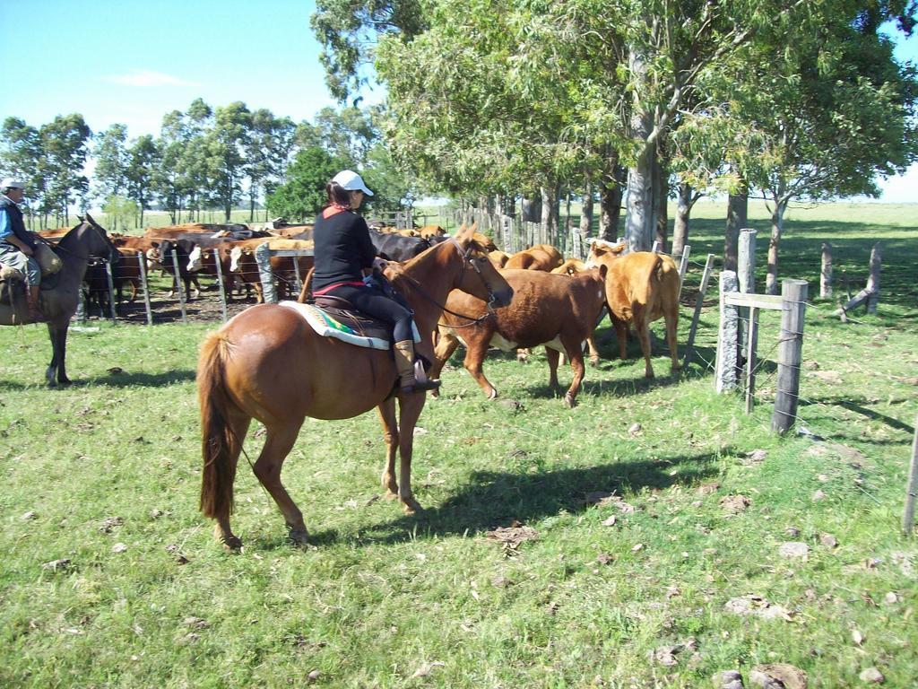 Estancia turistica La amorosa Trinidad Habitación foto