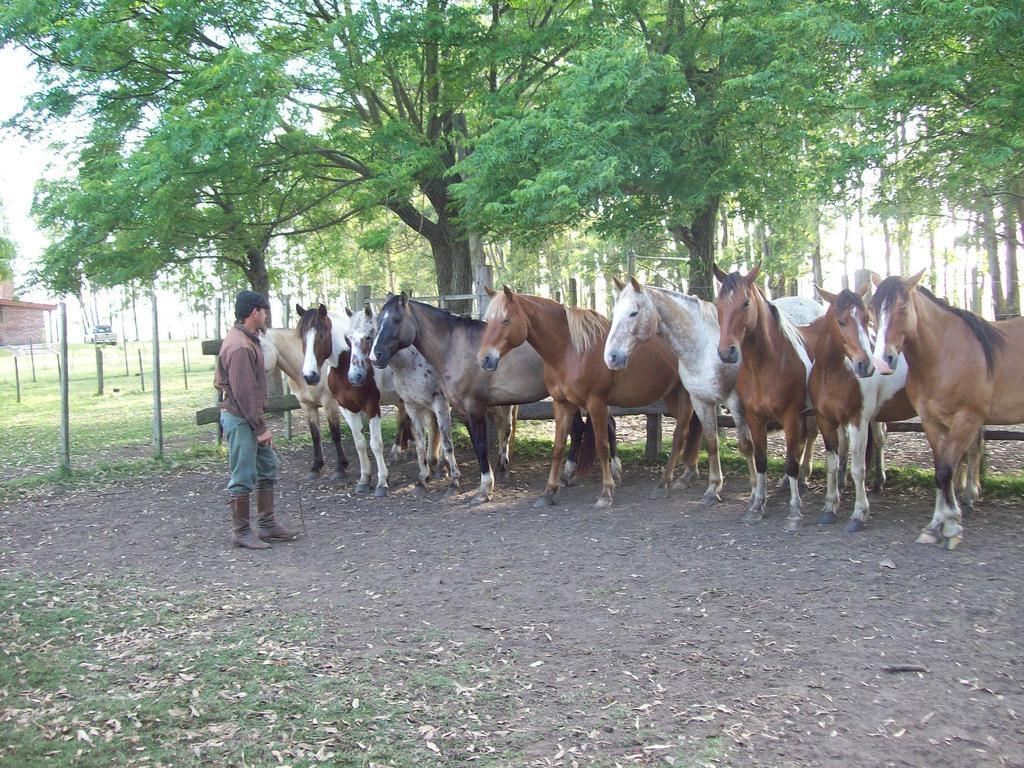 Estancia turistica La amorosa Trinidad Habitación foto